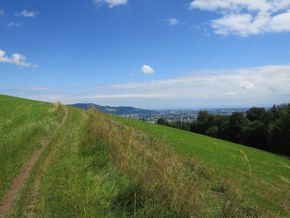 Blick vom Stadtwanderweg Bachlberg Richtung Süden auf Linz