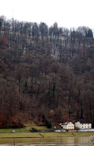 Turmleitenweg, vom der gegenüberliegenden Donau-Ufer aus gesehen