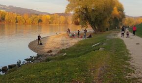 Donaustrand Winterhafen, im Herbst