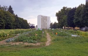 Morgentau Garten JKU, an der Mengerstraße