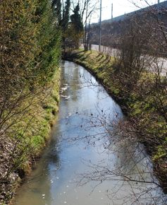 Der Aumühlbach entlang der Moosfelder Straße