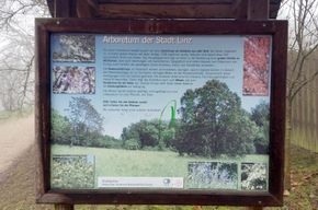 Informationstafel beim Eingang des Arboretums