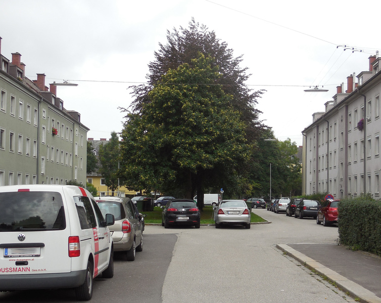 Datei:Schmidt-Renner-Straße.jpg