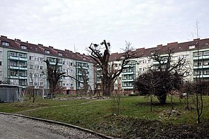 Hakenförmiger Dametzhof zum Innenhof (2013)