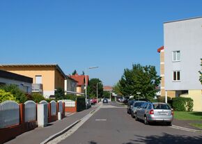 Vogelfängerweg nahe seinem westlichen Ende, Blick Richtung Nordosten