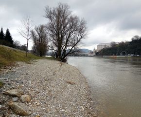 Westliches Ende des Donaustrandes, Blick auf das Linzer Stadtzentrum
