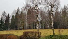 Winklerwald im Winter, von Osten gesehen