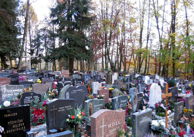 Datei:Urnenhain Urfahr Gräber.jpg