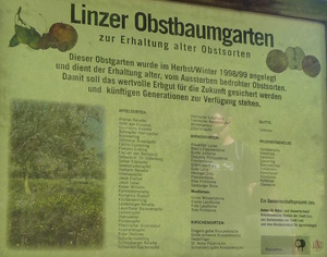 Informationstafel mit Übersicht über Obstsorten im Obstbaumgarten Margarethen