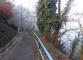 Königsweg, Blick Richtung Westen; Rechts im Nebel das Donautal