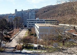 Blick über den Universitätscampus, rechts im Vordergrund das Keplergebäude, rechts außen hinter den Ästen der Hörsaaltrakt