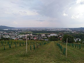 Blick vom Gründberg aufs Linzer Stadtzentrum